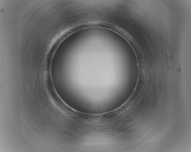 X0000071970728200607282057