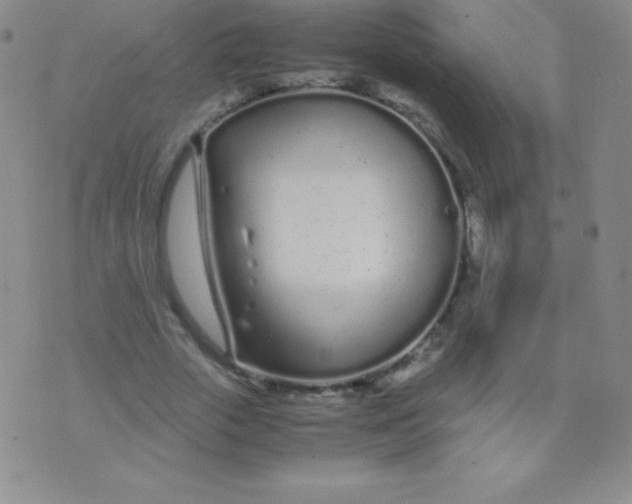 X0000071970729200607282057