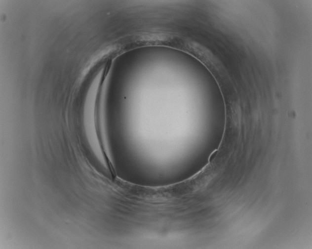 X0000071970731200607282057