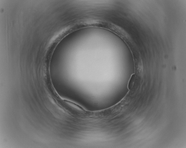 X0000071970732200607282057