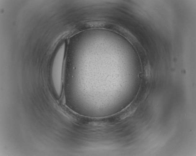 X0000071970733200607282057