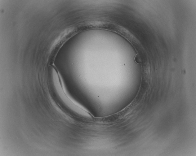 X0000071970734200607282057