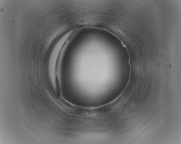 X0000071970735200607282057