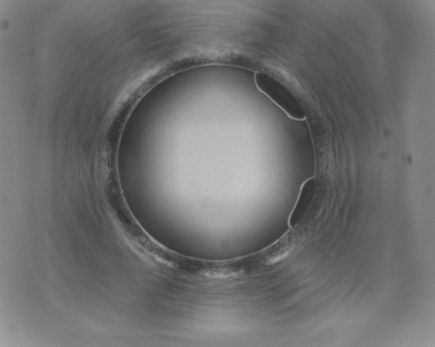 X0000071970736200607282057