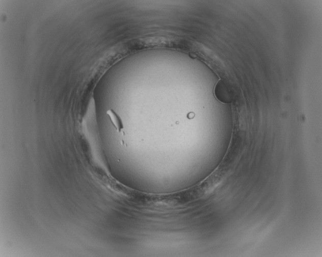 X0000071970737200607282057