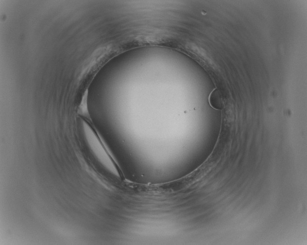 X0000071970738200607282057