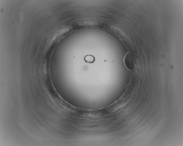 X0000071970739200607282057