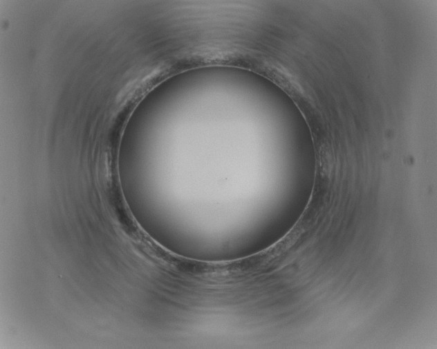 X0000071970740200607282057