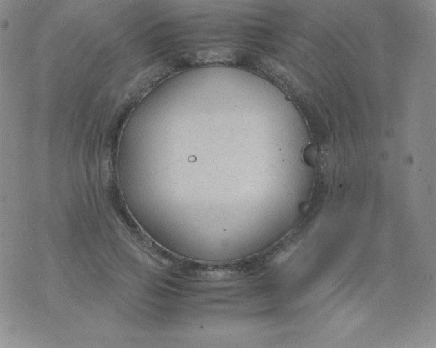 X0000071970741200607282057