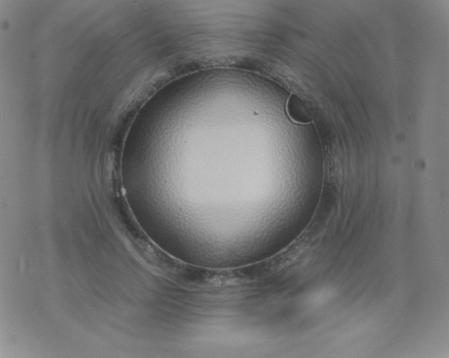 X0000071970742200607282057