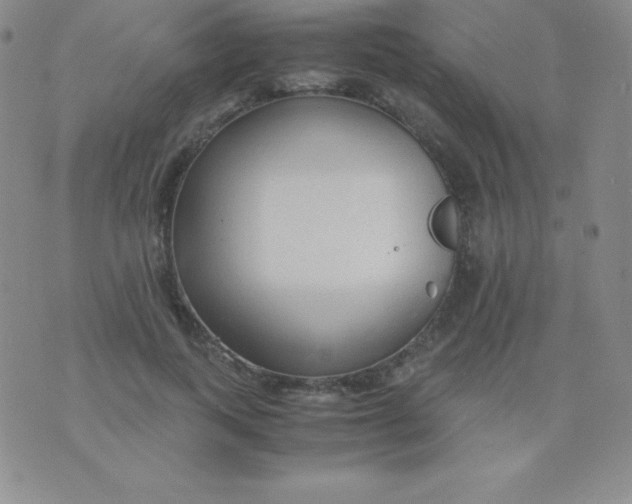 X0000071970743200607282057