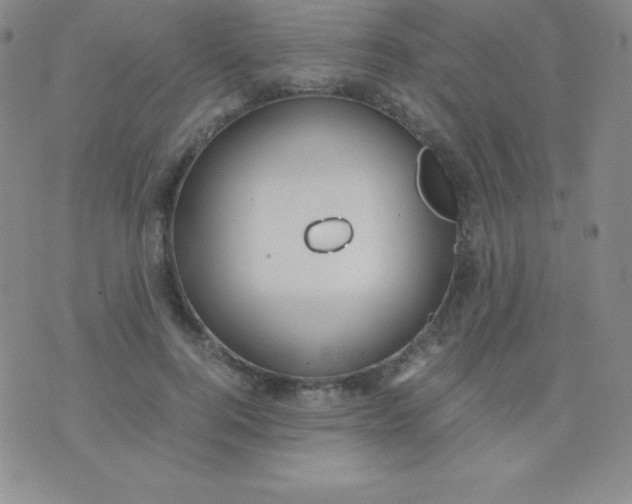 X0000071970744200607282057