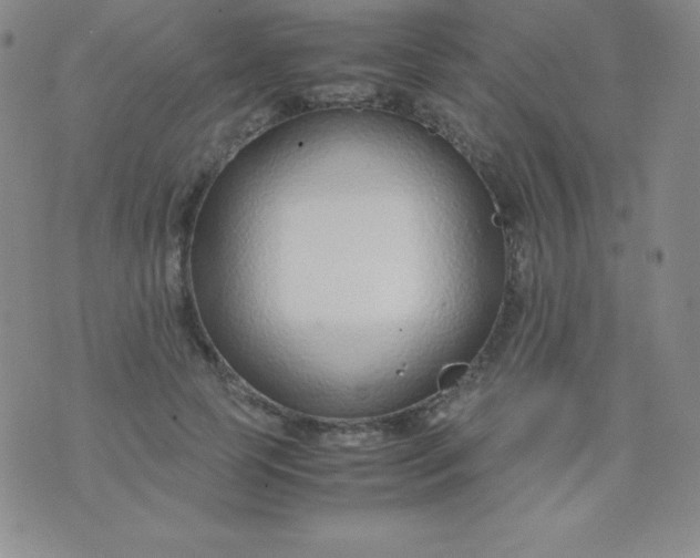 X0000071970745200607282057