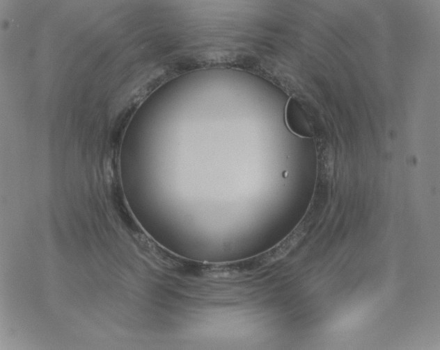 X0000071970746200607282057