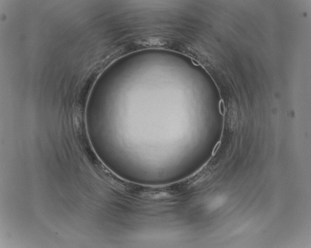 X0000071970747200607282057