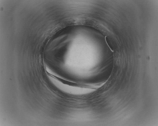 X0000071970748200607282057