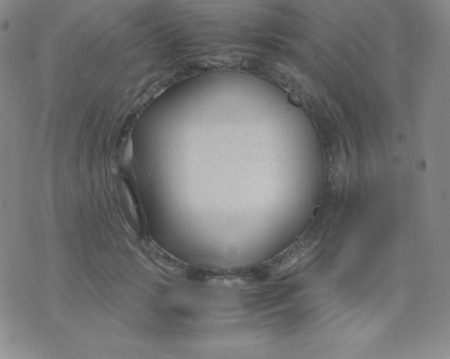 X0000071970749200607282057