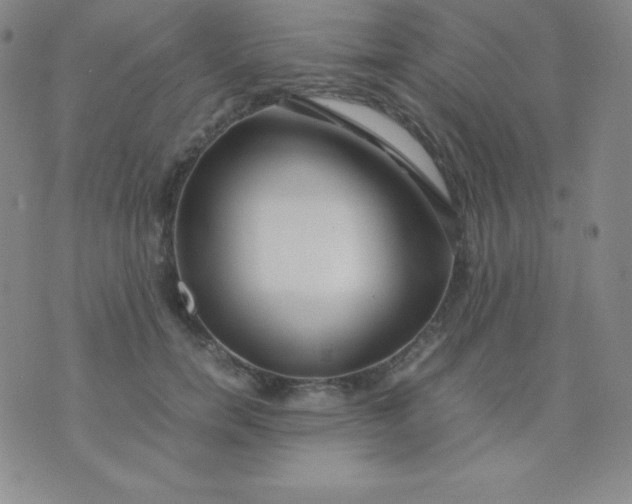 X0000071970750200607282057