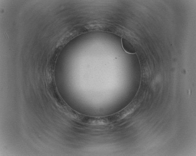 X0000071970751200607282058