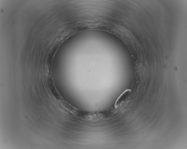 X0000071970752200607282058