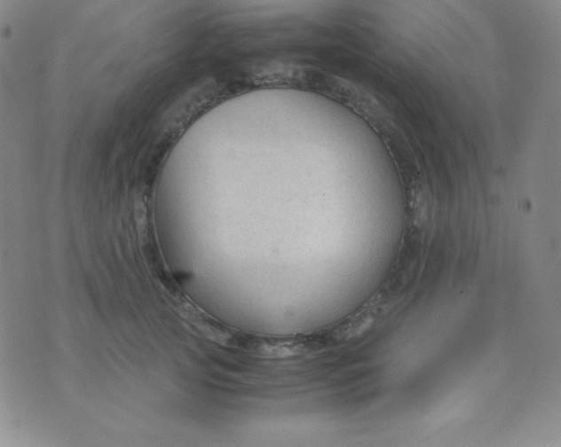 X0000071970753200607282058