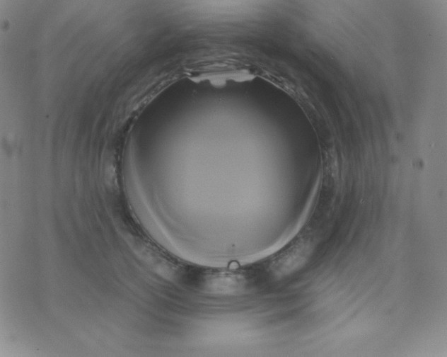 X0000071970754200607282058