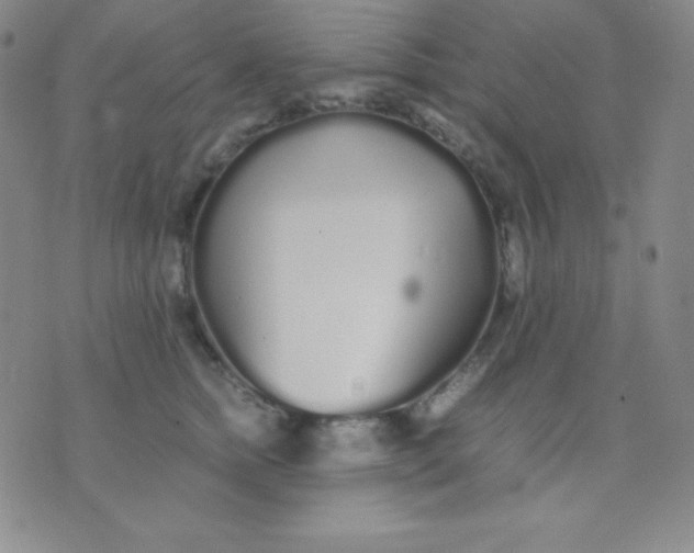 X0000071970758200607282058