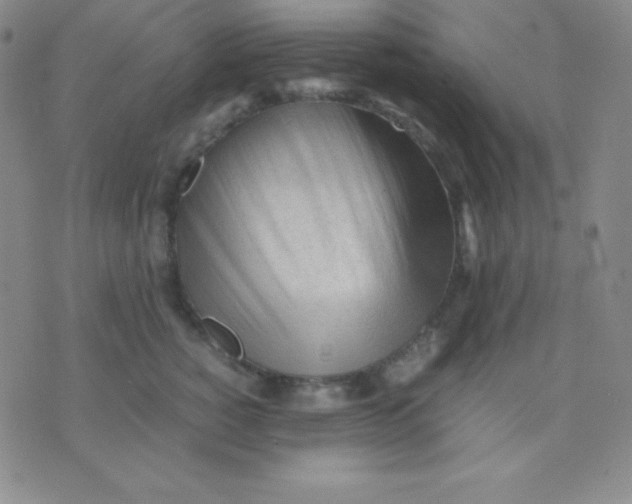 X0000071970760200607282058