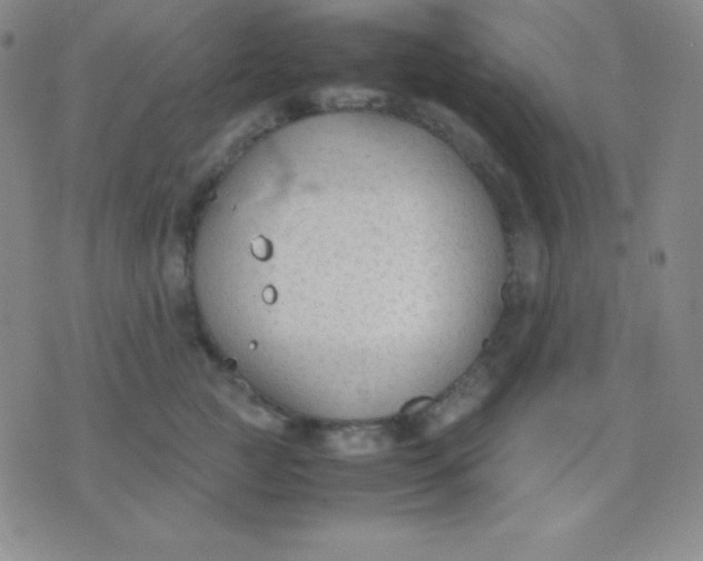 X0000071970761200607282058