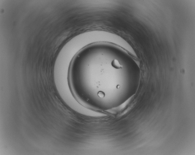 X0000071970762200607282058