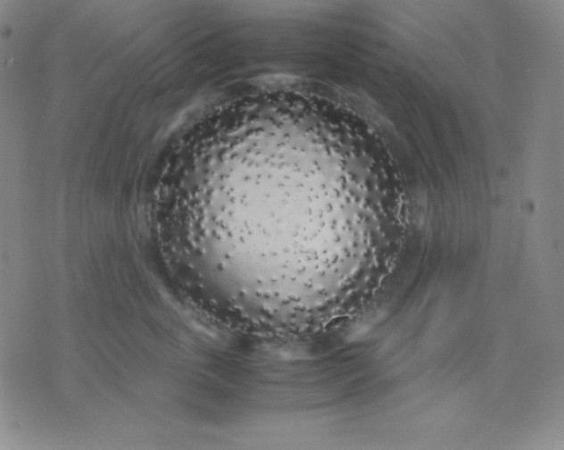 X0000071970763200607282058