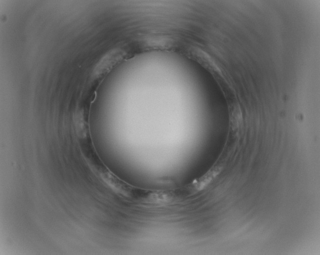 X0000071970764200607282058