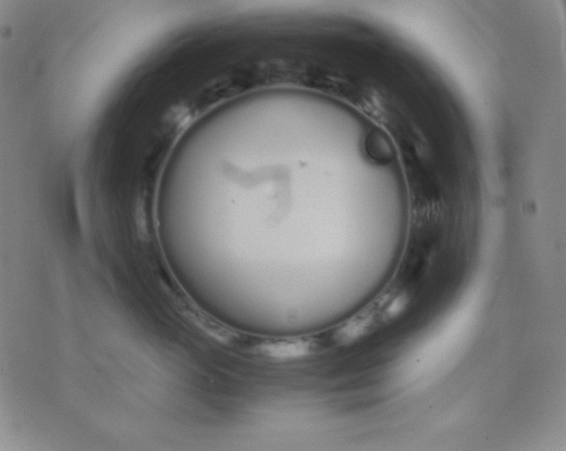 X0000071970765200607282058