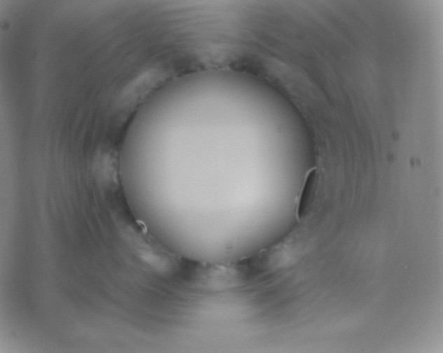 X0000071970768200607282058