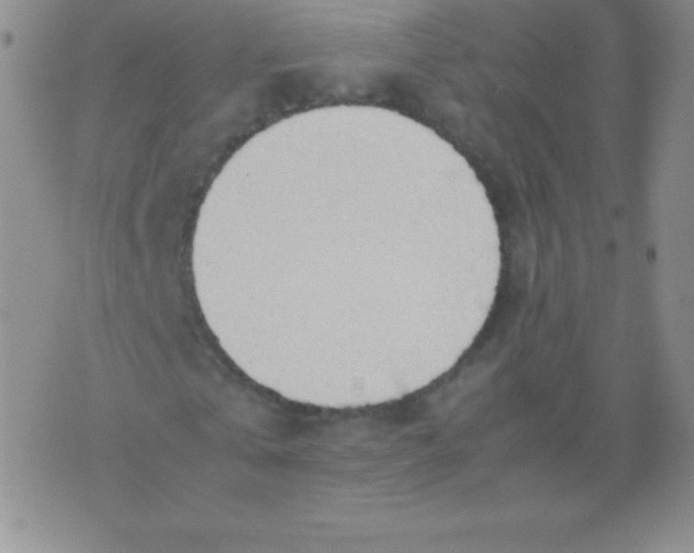 X0000071970769200607282057