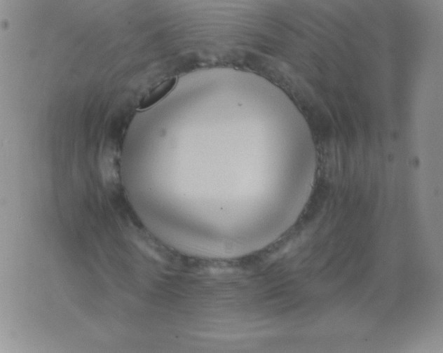 X0000071970770200607282057