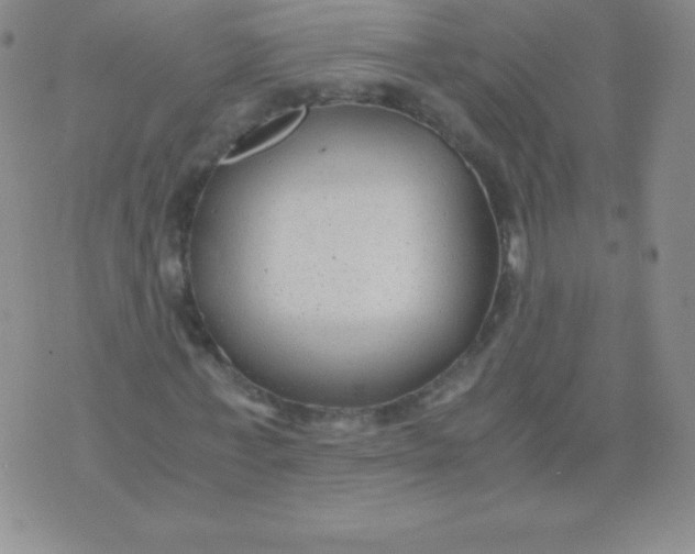 X0000071970771200607282057