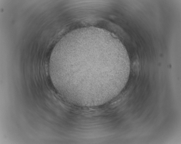 X0000071970772200607282057