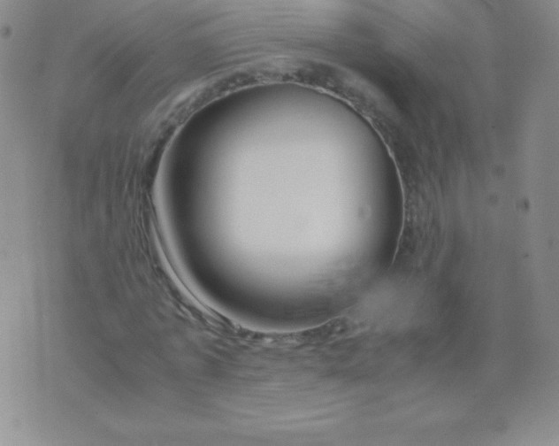 X0000071970773200607282057