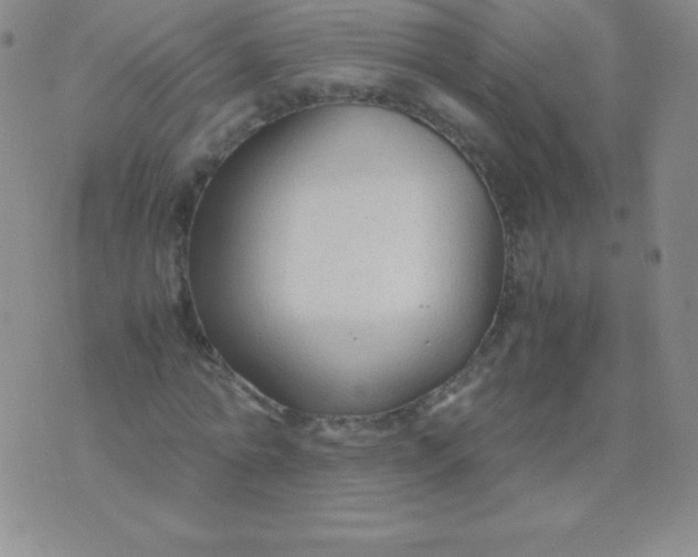 X0000071970774200607282057