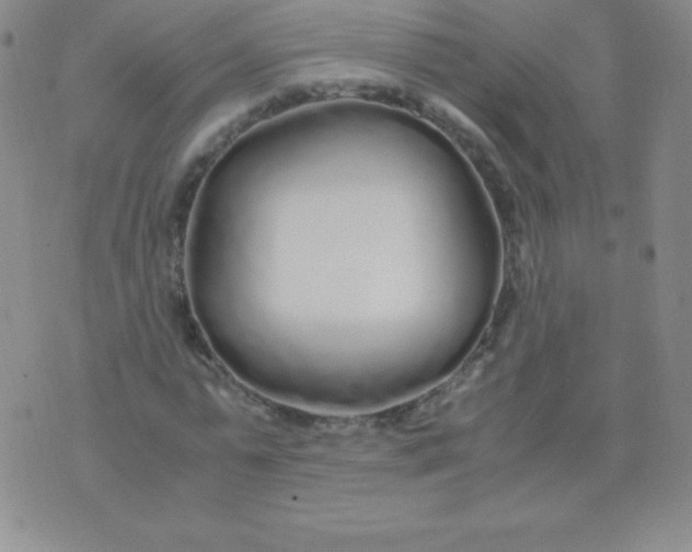 X0000071970775200607282057