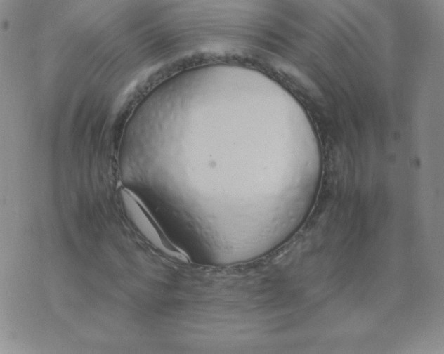 X0000071970776200607282057