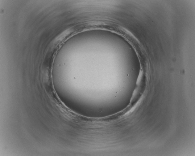 X0000071970777200607282057