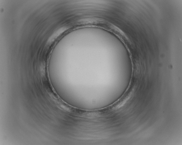 X0000071970778200607282057