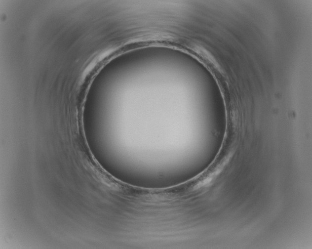 X0000071970781200607282057