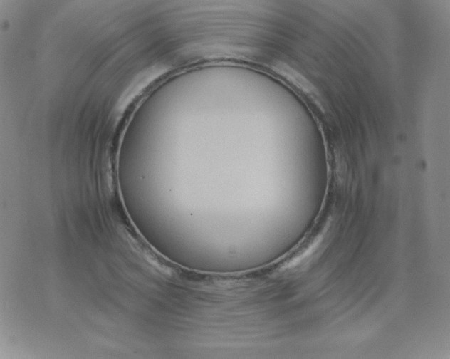 X0000071970782200607282057