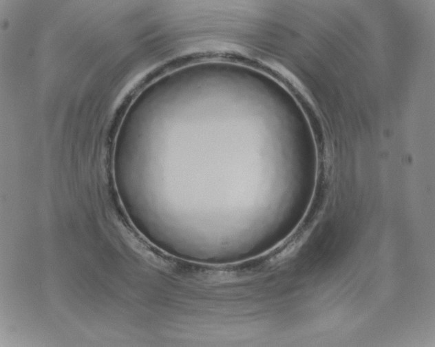 X0000071970783200607282057