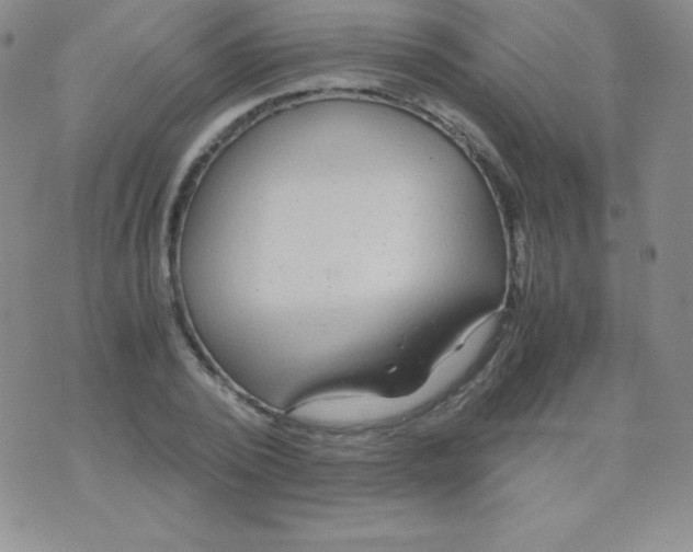 X0000071970784200607282057