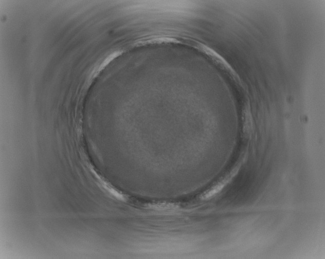 X0000071970785200607282057