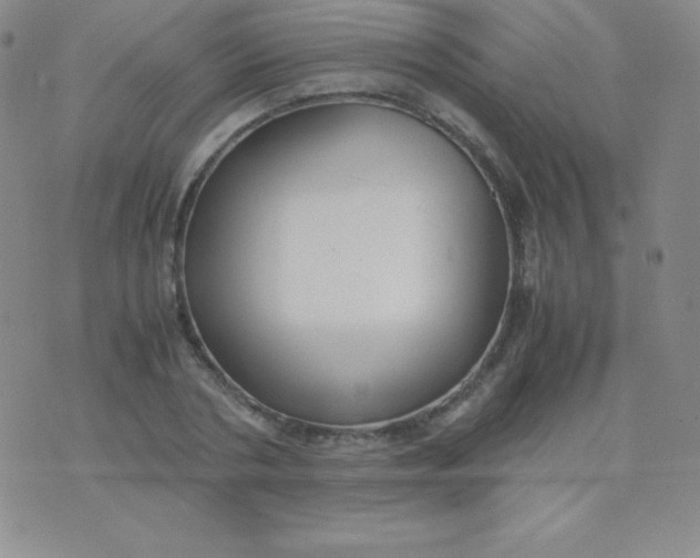 X0000071970786200607282057